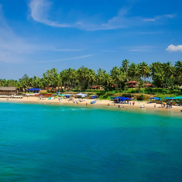 GOA4