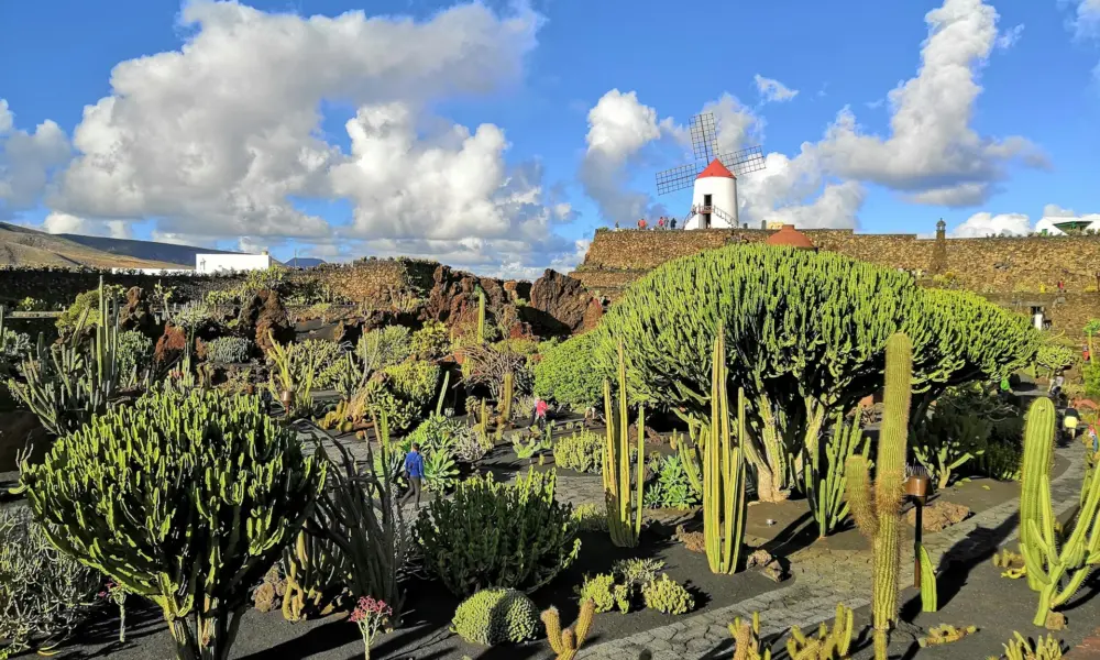 Novembrové Lanzarote bez toho, aby ste zruinovali účet. Spiatočná letenka padla na 104 eur. lanzarote main