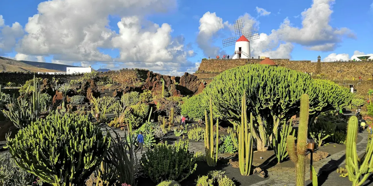 lanzarote main