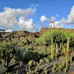 lanzarote main