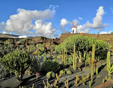 lanzarote main