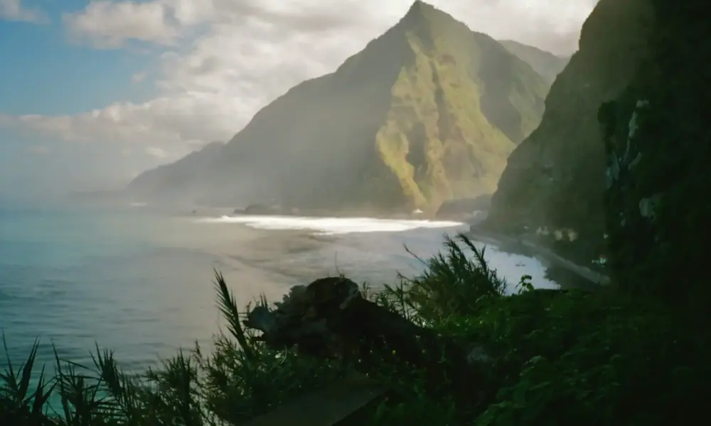 madeira new